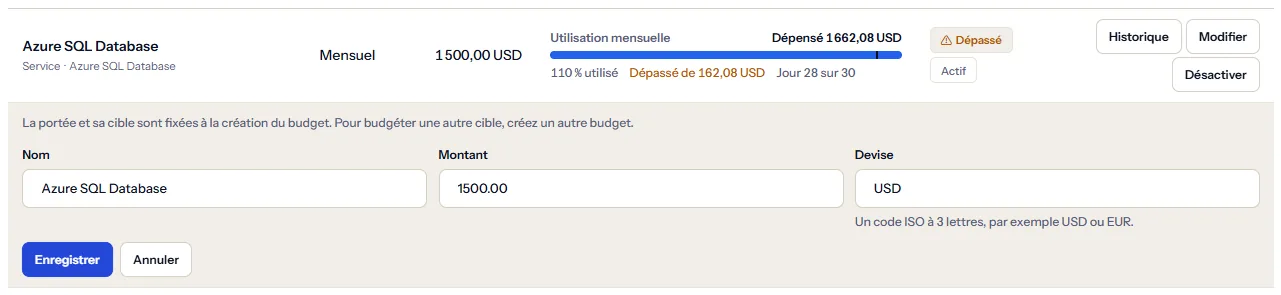 Une ligne de budget ouverte en modification : la note indiquant que le périmètre et sa cible sont fixes, les champs du nom, du montant et de la devise, et les boutons d'enregistrement et d'annulation.