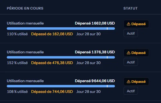 Trois lignes de la colonne de la période en cours : la dépense, une barre de la part utilisée avec un repère à la part de la période écoulée, la part utilisée, le dépassement de chaque budget et le jour de la période, à côté du niveau de chaque budget.