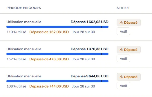 Trois lignes de la colonne de la période en cours : la dépense, une barre de la part utilisée avec un repère à la part de la période écoulée, la part utilisée, le dépassement de chaque budget et le jour de la période, à côté du niveau de chaque budget.