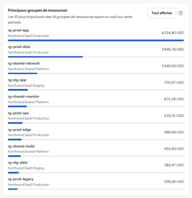 La carte des principaux groupes de ressources avec dix groupes, chacun avec le nom de son abonnement, son coût et une barre, et un bouton pour tout afficher.
