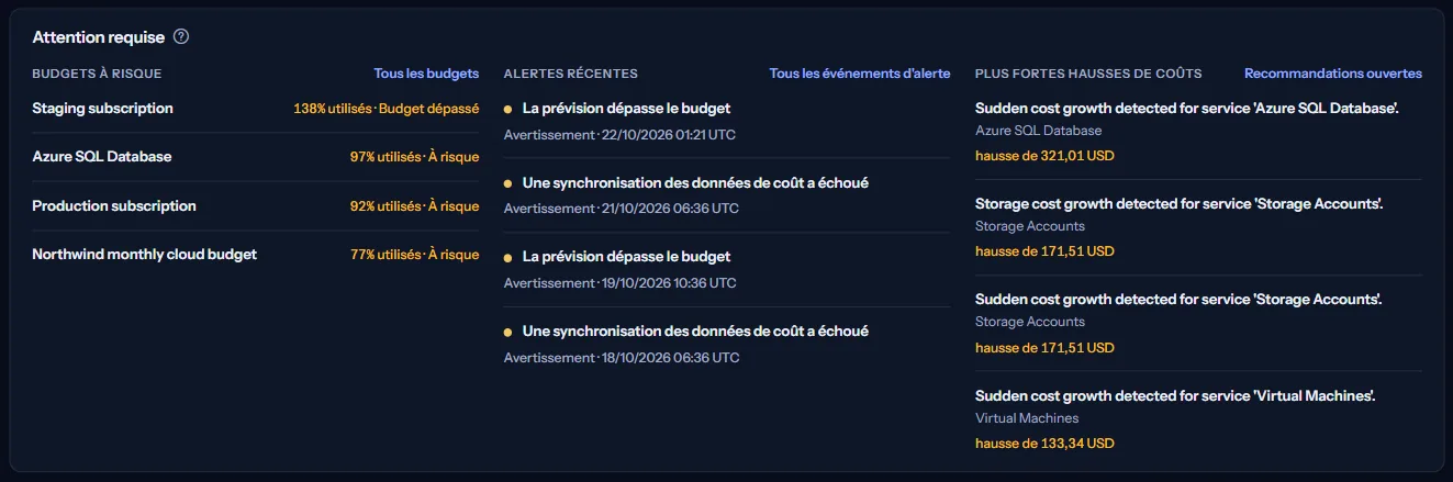 Le panneau d'attention requise avec trois listes : les budgets à risque avec la part utilisée de chacun, les alertes récentes avec leur gravité et leur heure, et les plus fortes hausses de coûts avec le montant de chaque hausse.