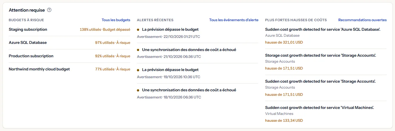 Le panneau d'attention requise avec trois listes : les budgets à risque avec la part utilisée de chacun, les alertes récentes avec leur gravité et leur heure, et les plus fortes hausses de coûts avec le montant de chaque hausse.